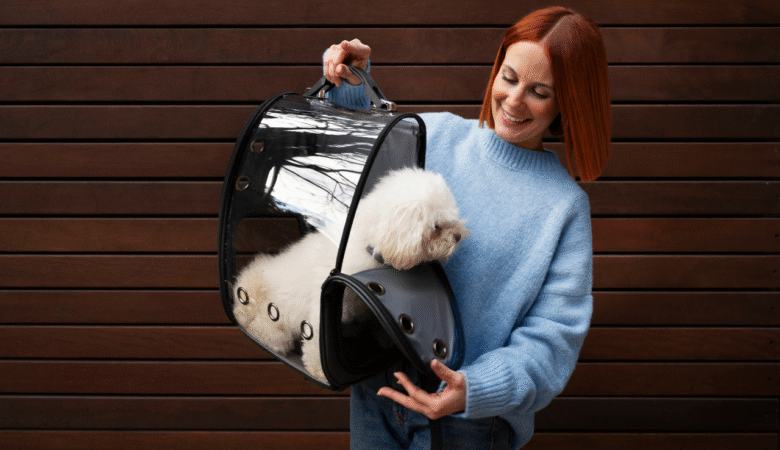 How to Pick the Best Pet Boarding Service in Ras Al Khaimah