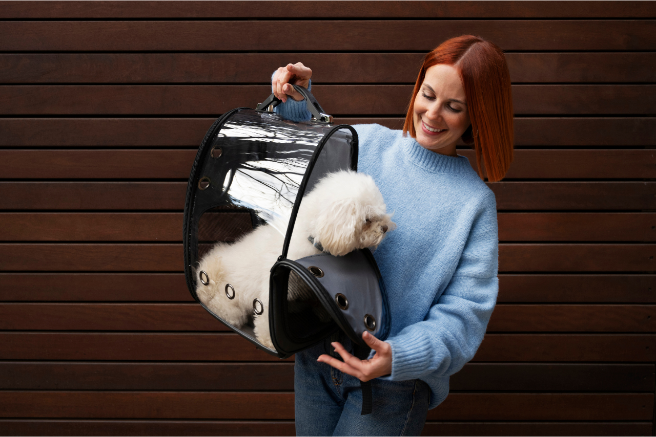 How to Choose the Best Pet Boarding in Ras Al Khaimah