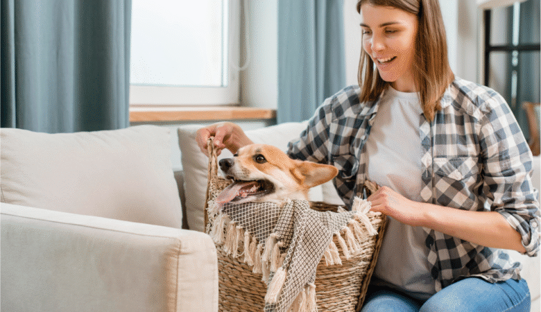 Grooming Mistakes Pet Owners Make at Home