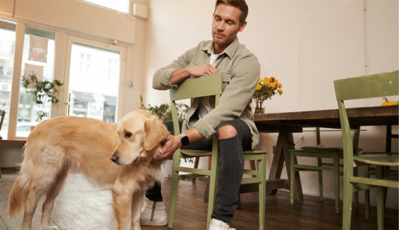 The Differences Between Pet Sitting and Pet Boarding