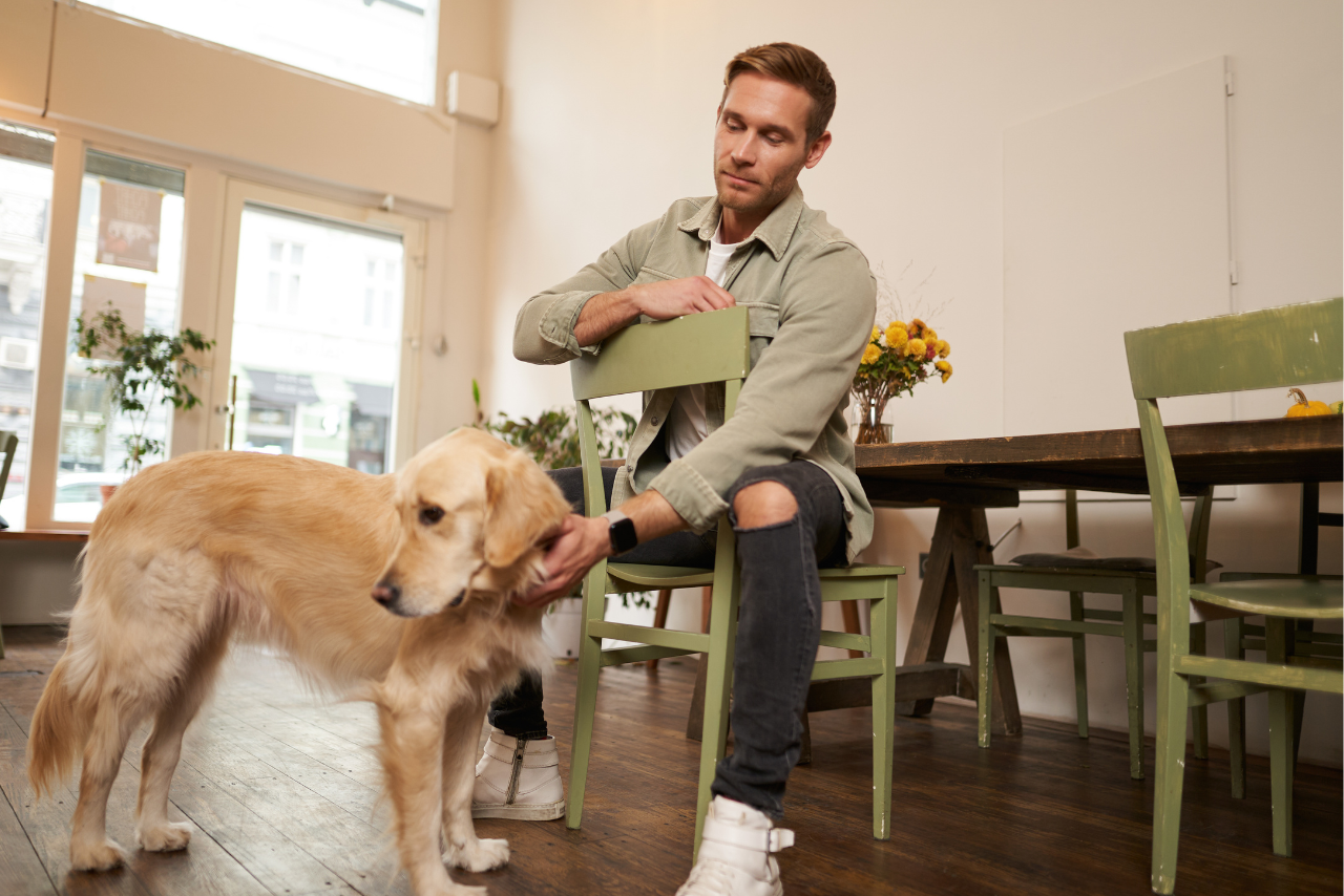 The Differences Between Pet Sitting and Pet Boarding
