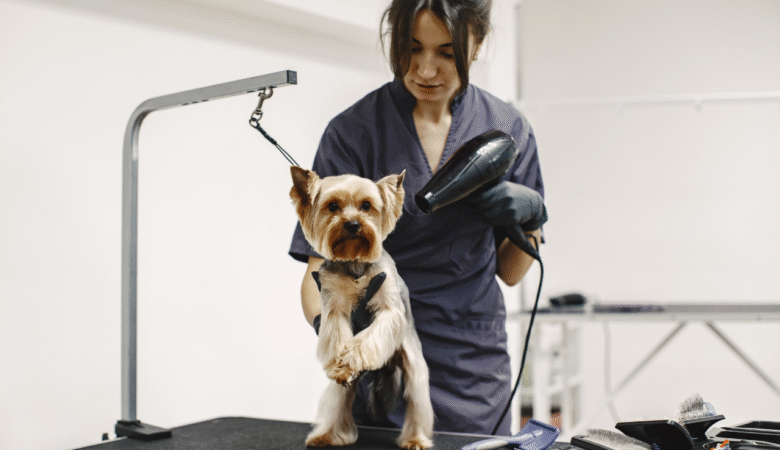 5 Signs Your Pet is Comfortable at the Boarding Facility